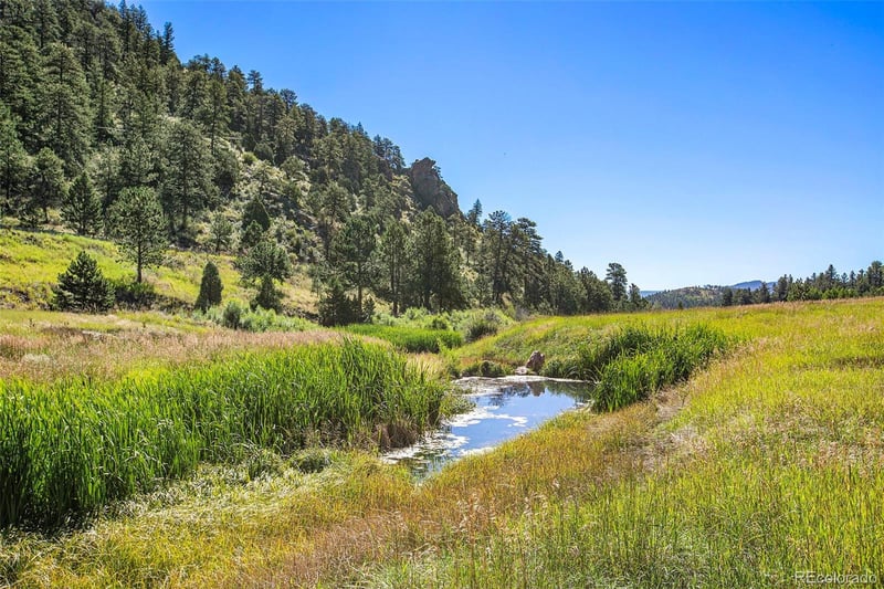 14334 Reserve Rd, Pine, CO 80470