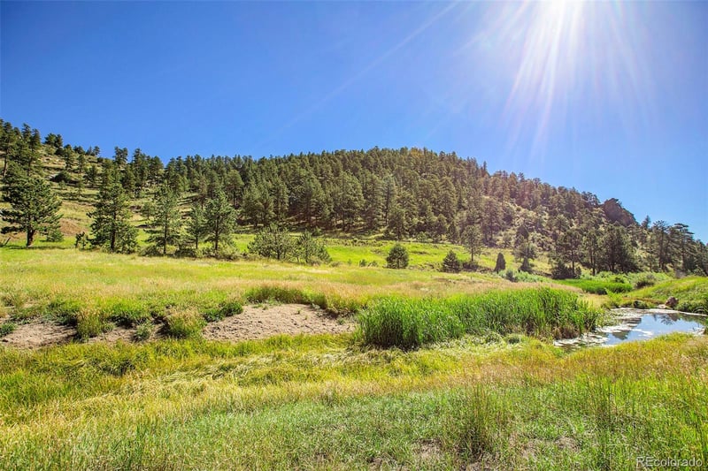 14334 Reserve Rd, Pine, CO 80470