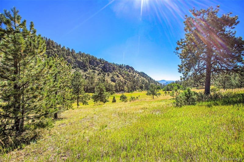 14334 Reserve Rd, Pine, CO 80470