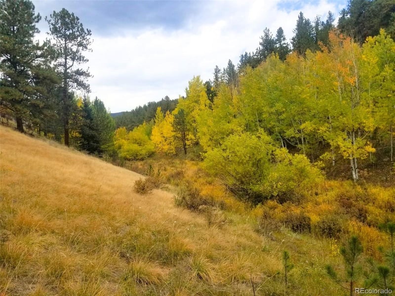 342 - 366 Brown St Lot 70,71,72,73, Bailey, CO 80421