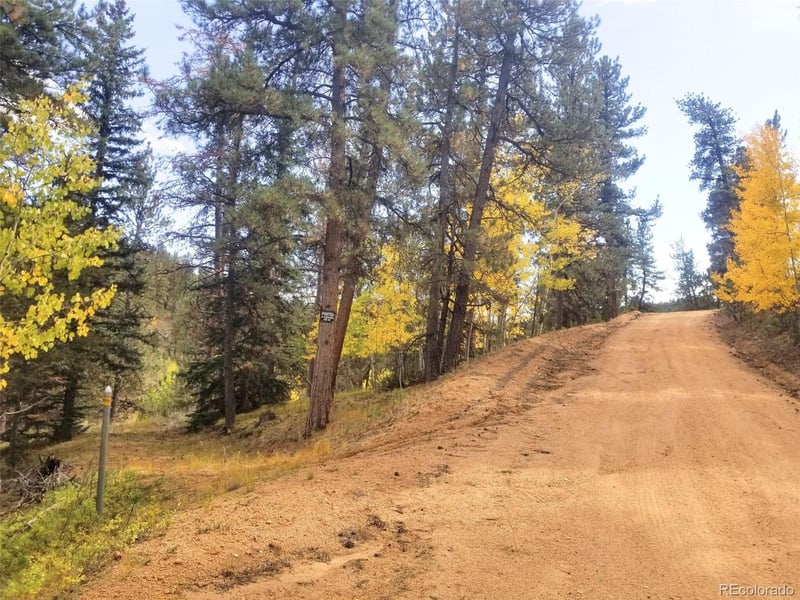 342 - 366 Brown St Lot 70,71,72,73, Bailey, CO 80421
