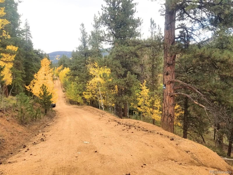 342 - 366 Brown St Lot 70,71,72,73, Bailey, CO 80421