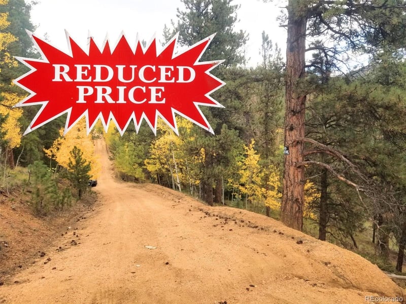 342 - 366 Brown St Lot 70,71,72,73, Bailey, CO 80421