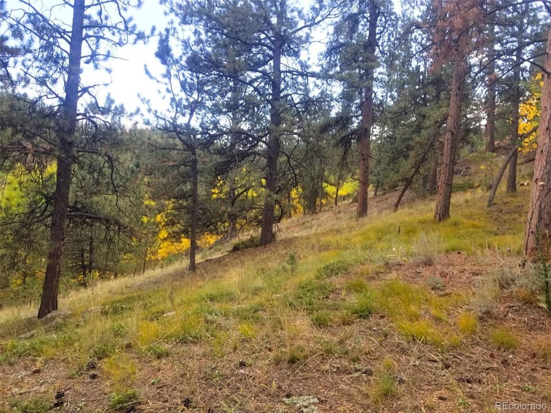342 - 366 Brown St Lot 70,71,72,73, Bailey, CO 80421