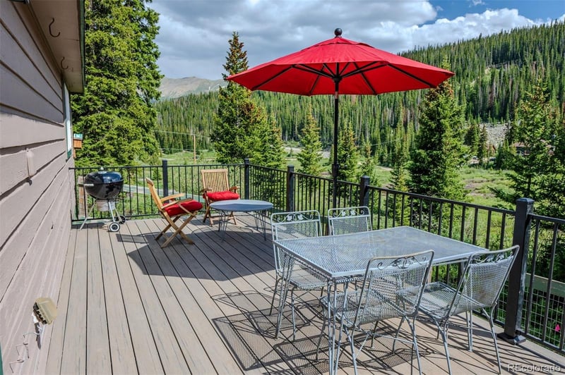 46 Mcdill Rd, Breckenridge, CO 80424