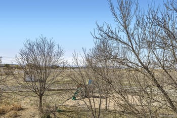 16021 Verbena St, Brighton, CO 80602