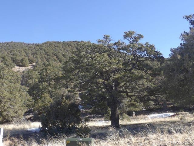 4317 Serene Way, Crestone, CO 81131