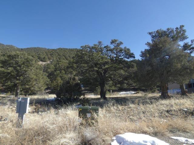4317 Serene Way, Crestone, CO 81131