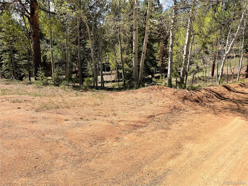 146 Gibson Rd, Westcliffe, CO 81252