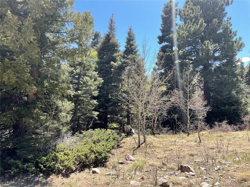 146 Gibson Rd, Westcliffe, CO 81252