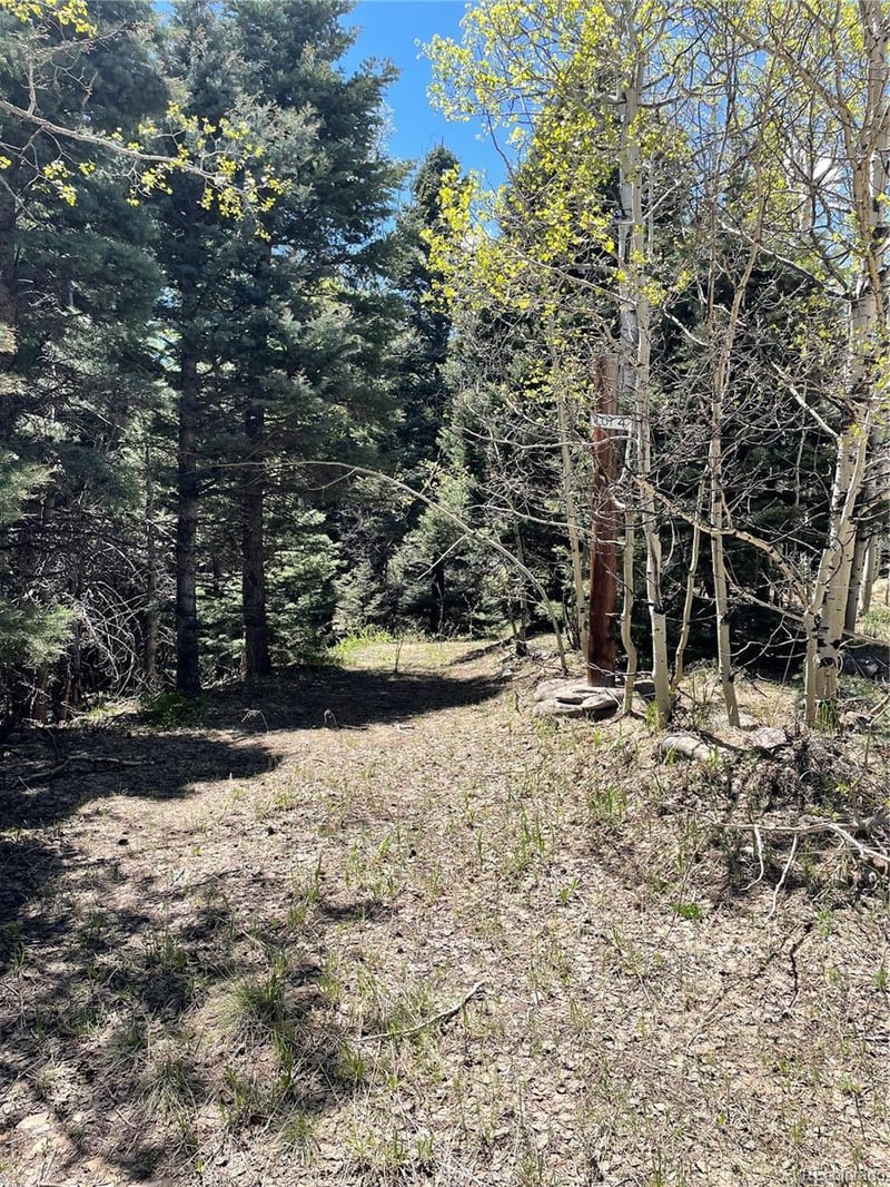 146 Gibson Rd, Westcliffe, CO 81252