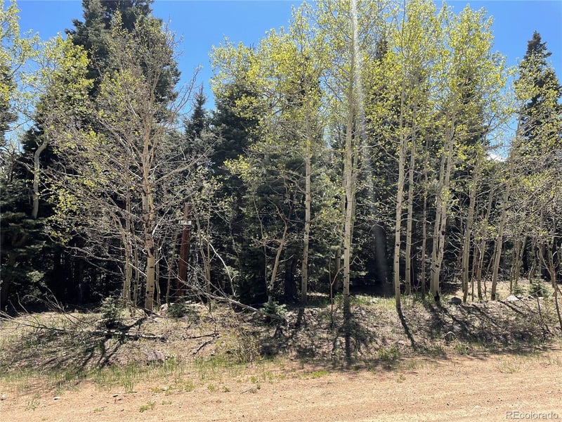 146 Gibson Rd, Westcliffe, CO 81252