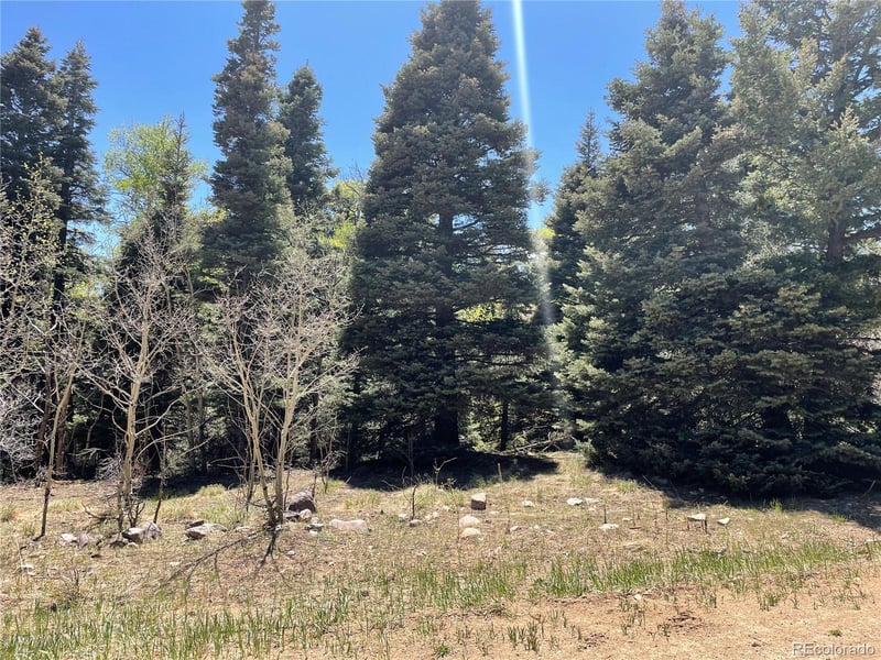 146 Gibson Rd, Westcliffe, CO 81252