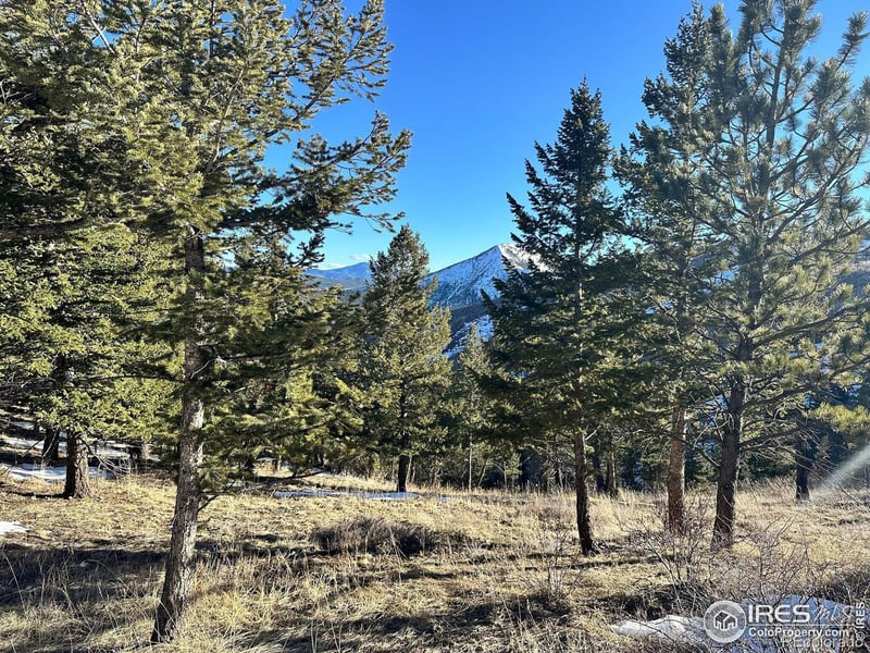 61 Rim Rd, Boulder, CO 80302