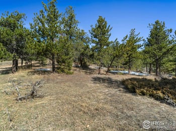 61 Rim Rd, Boulder, CO 80302