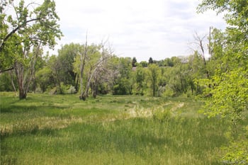 10160 12th Ave, Lakewood, CO 80215