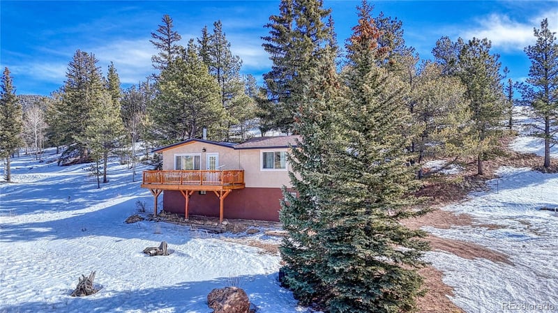 60 Perch Dr, Lake George, CO 80827