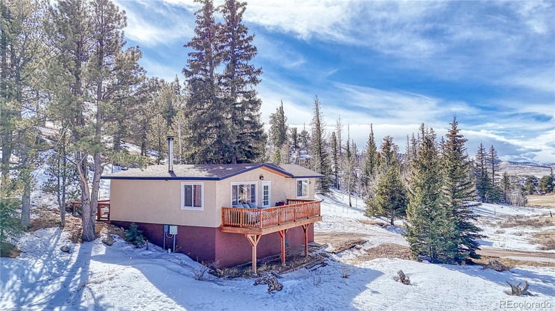 60 Perch Dr, Lake George, CO 80827
