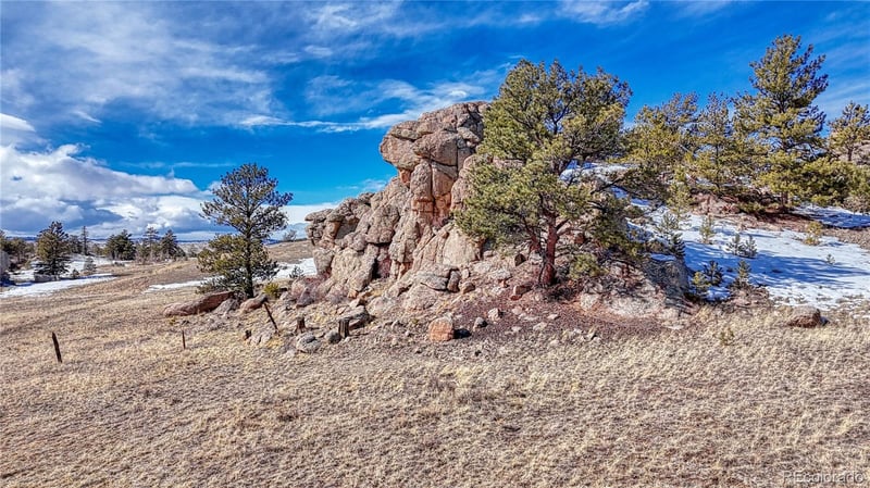 60 Perch Dr, Lake George, CO 80827