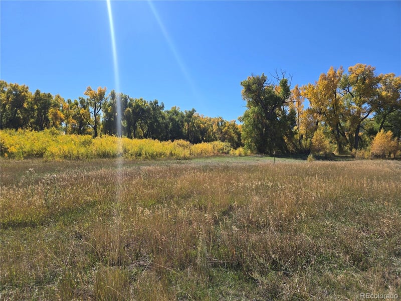 1864 River Island Dr, South Fork, CO 81154