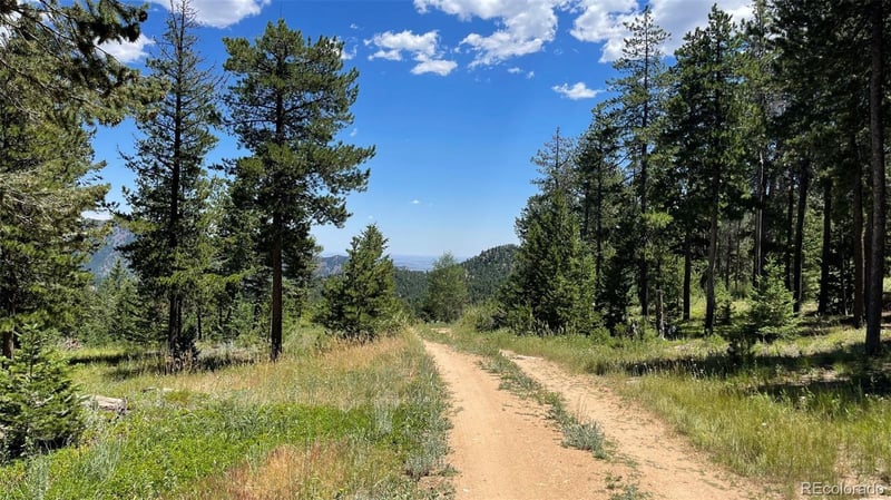 93 Gross Dam Rd, Golden, CO 80403