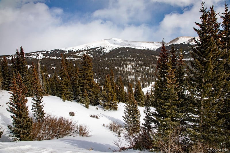 1307 Roberts Rd Lot 10, Alma, CO 80420