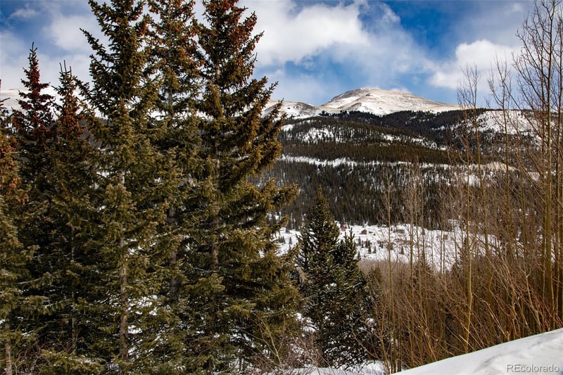 1307 Roberts Rd Lot 10, Alma, CO 80420