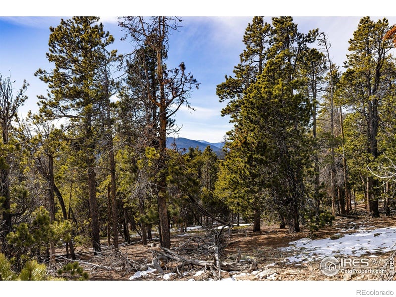 33768 Lyttle Dowdle Dr, Golden, CO 80403