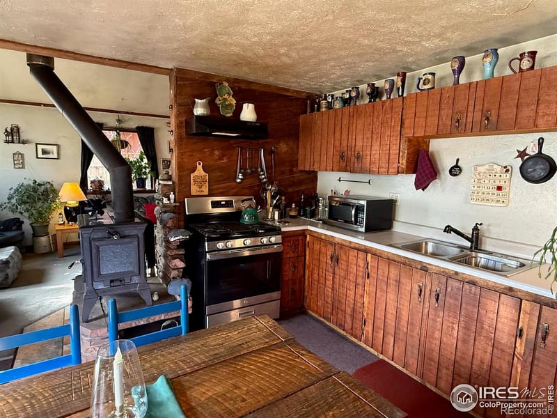 209 W Breed St, Nederland, CO 80466