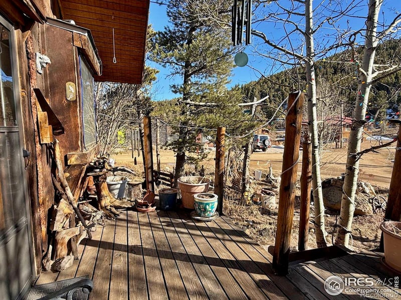 209 W Breed St, Nederland, CO 80466