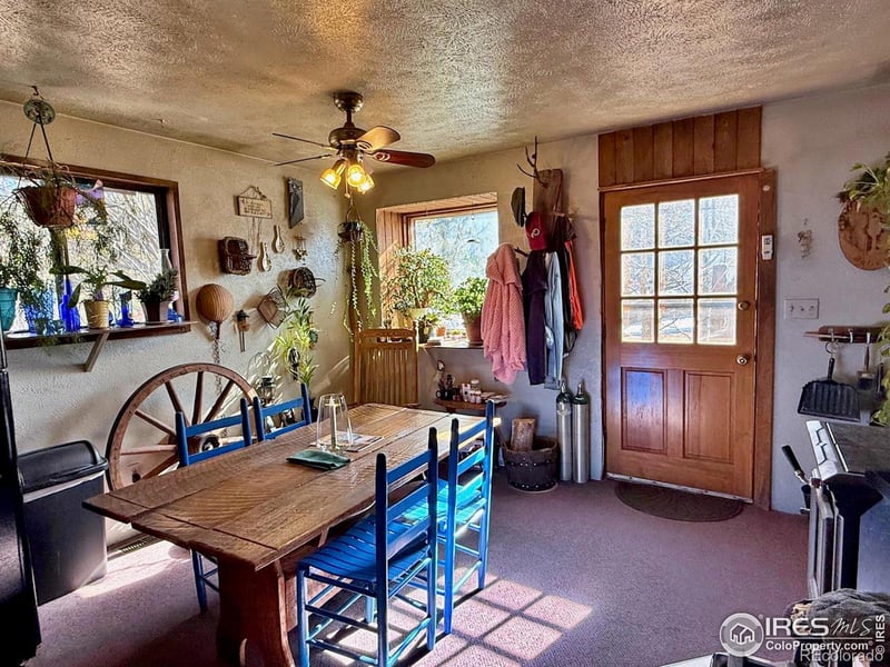 209 W Breed St, Nederland, CO 80466
