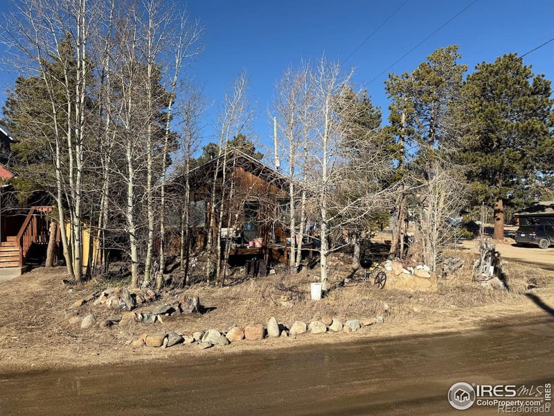 209 W Breed St, Nederland, CO 80466