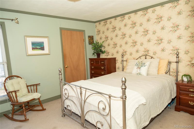 409 La Garita St, Creede, CO 81130