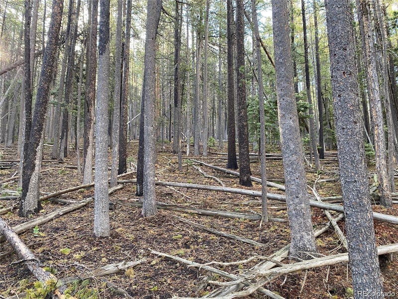 2687 Purnell Ln, Fort Garland, CO 81133