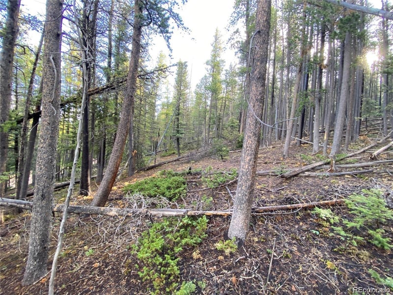 2687 Purnell Ln Lot 2687, Fort Garland, CO 81133