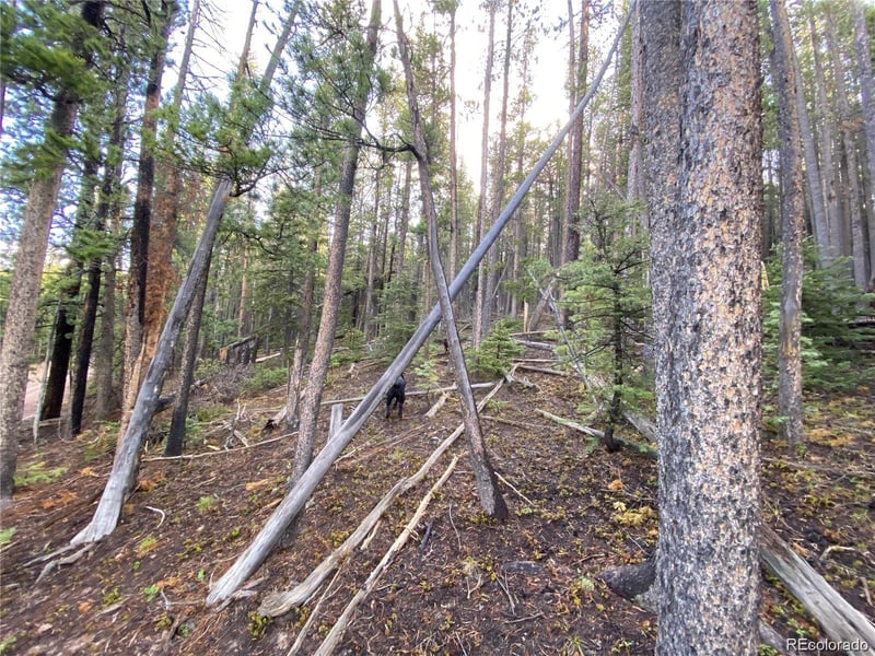 2687 Purnell Ln Lot 2687, Fort Garland, CO 81133