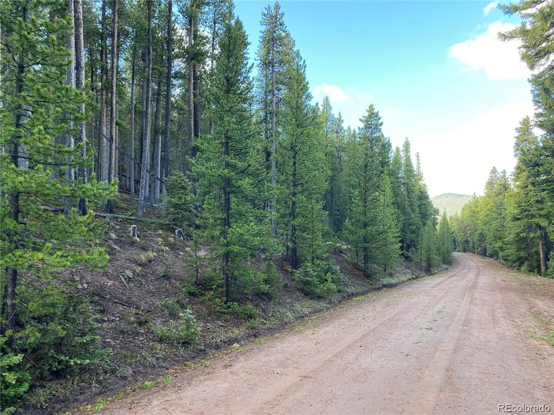 2687 Purnell Ln Lot 2687, Fort Garland, CO 81133