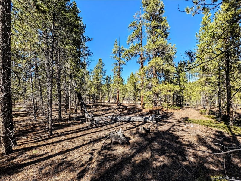 322 Juniper Dr, Twin Lakes, CO 81251