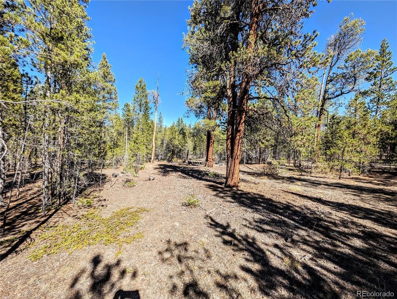 322 Juniper Dr, Twin Lakes, CO 81251