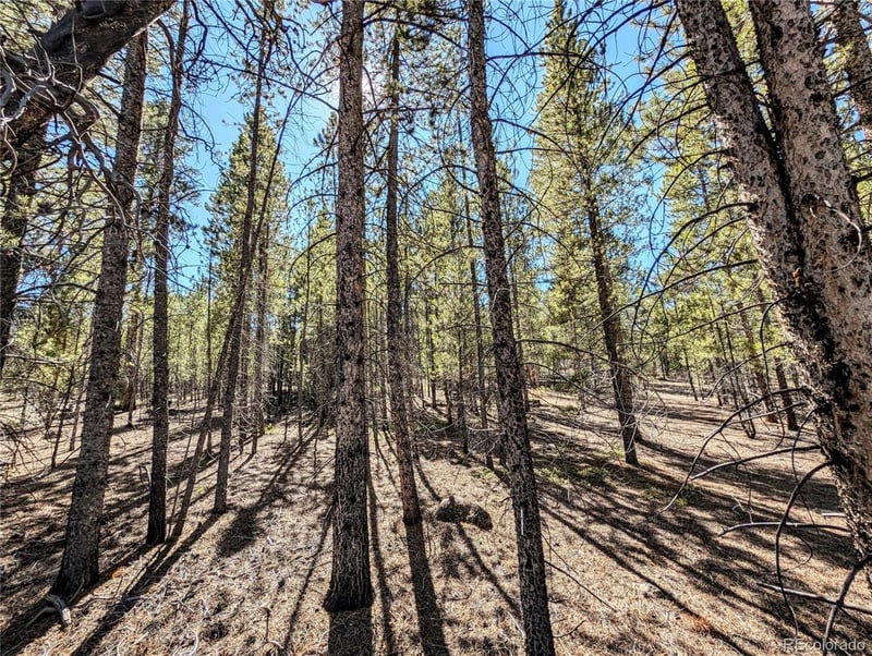 322 Juniper Dr, Twin Lakes, CO 81251