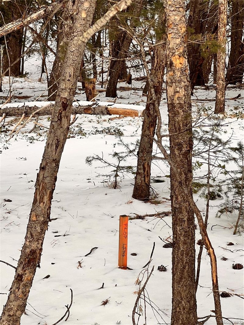 0 Vista Ave, Golden, CO 80401