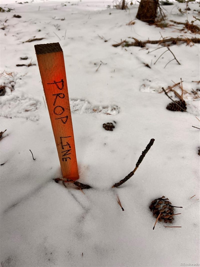 0 Vista Ave, Golden, CO 80401