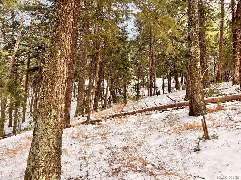 0 Vista Ave, Golden, CO 80401