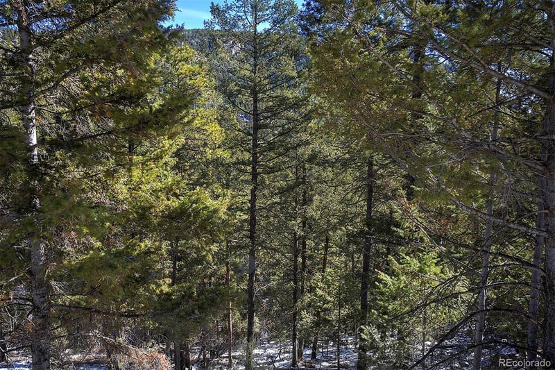 13492 Shiloh Dr, Conifer, CO 80433