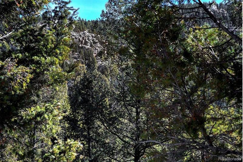 13492 Shiloh Dr, Conifer, CO 80433