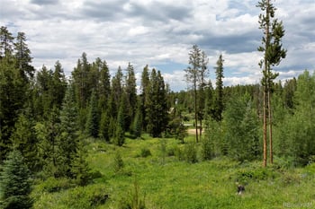 16 County Rd 8343/elk Ct, Fraser, CO 80442