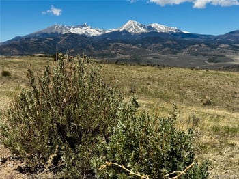 Lot 7712 Hallstein Rd, Fort Garland, CO 81133