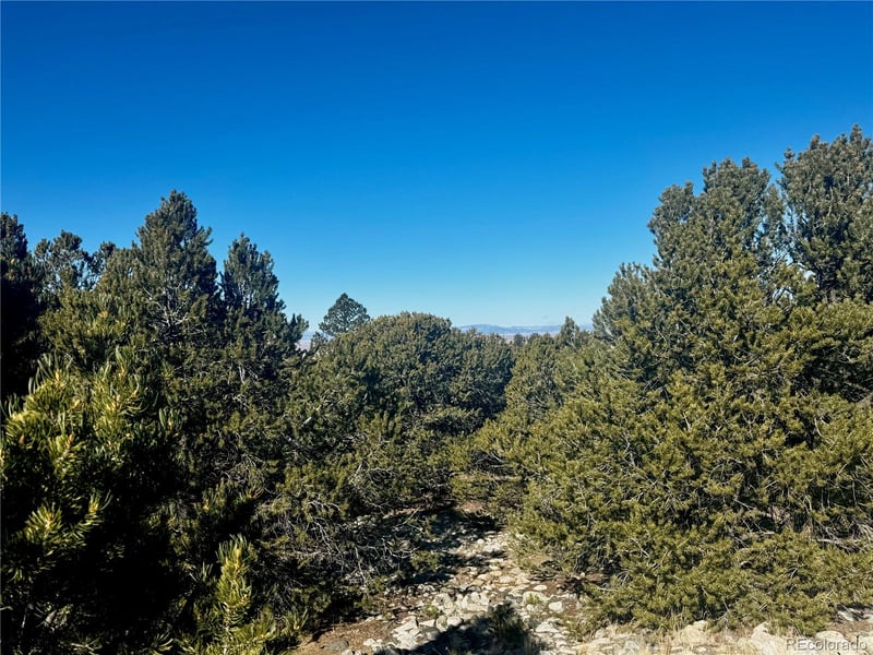 Moki Pl, Mosca, CO 81146