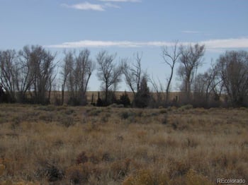 387 Staghorn Rd, Saguache, CO 81131