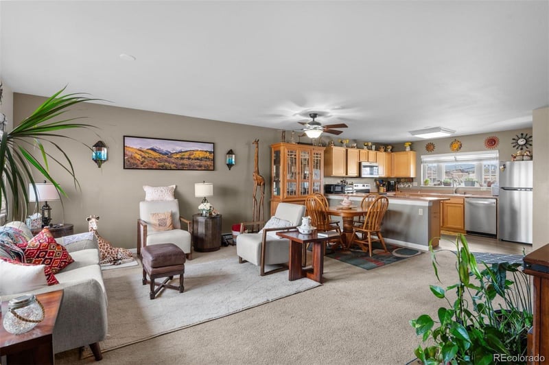 383 8th St, Fairplay, CO 80440